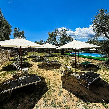 Valle Degli Ulivi B&B Vieste Eksteriør billede