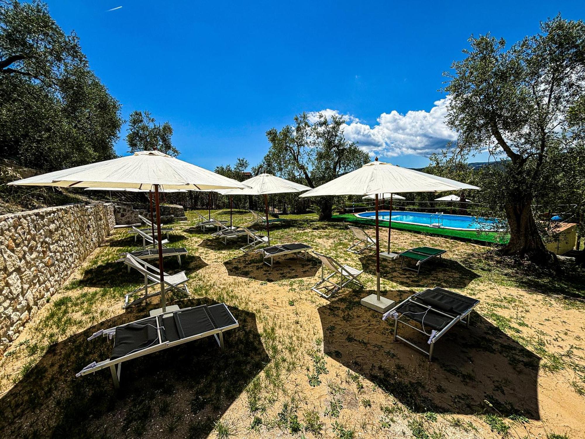 Valle Degli Ulivi B&B Vieste Eksteriør billede